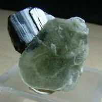 Tantalite-(Mn) With Mica