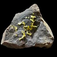 Wulfenite