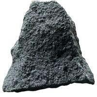 Ferropargasite