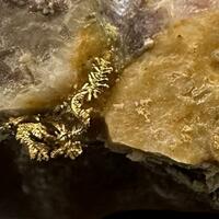 Gold
