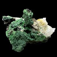 Bayldonite