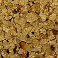 Native Gold