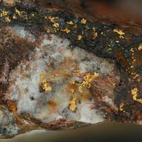 Native Gold