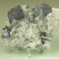 Galena On Quartz