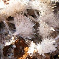 Aragonite On Limonite