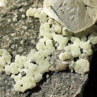 Prehnite & Calcite With Julgoldite