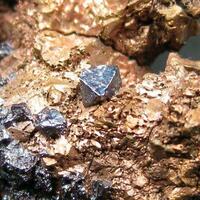 Cuprite On Native Copper