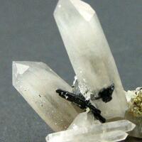 Wolframite Sericite & Quartz