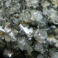 Apophyllite & Julgoldite On Pectolite
