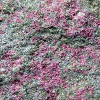 Erythrite