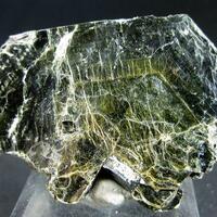 Phlogopite