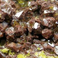 Quartz With Fossil Fungi Mycelium