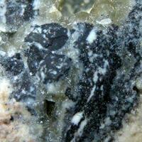 Ernienickelite In Carbonate-rich Fluorapatite