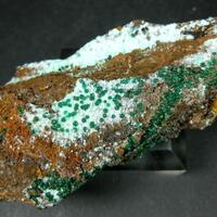 Agardite & Cuprian Adamite