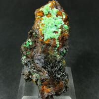 Cuprian Adamite