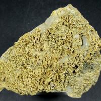 Wulfenite