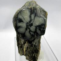 Andalusite Var Chiastolite