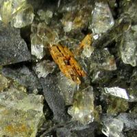 Santabarbaraite Psm Vivianite & Selenite On Hydrogoethite