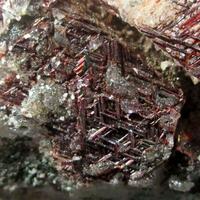 Rutile Var Sagenite On Quartz