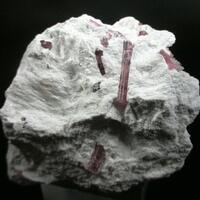 Tourmaline Var Rubellite & Sericite