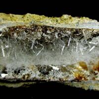 Natrolite Psm Fossil Wood & Calcite