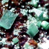 Torbernite & Metatorbernite