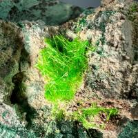 Cuprosklodowskite Malachite & Uranophane
