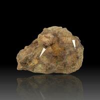 Walpurgite & Metatorbernite