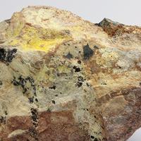 Parauranophane & Uraninite Var Pitchblende