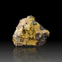 Parsonsite