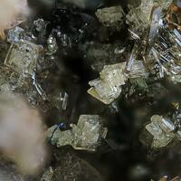 Benyacarite