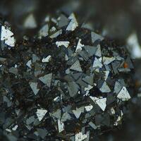 Chalcophanite