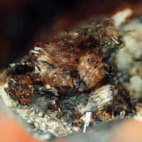 Sarkinite