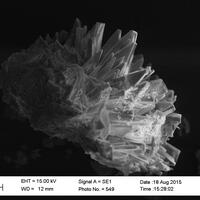 Niedermayrite