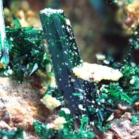 Clinoatacamite