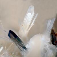 Rinkite-(Ce)