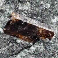 Lomonosovite