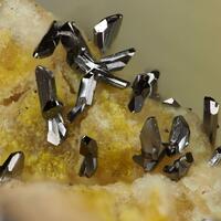 Native Selenium