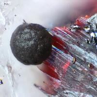 Imhofite