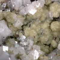 Arsendescloizite