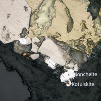 Sopcheite Kotulskite & Moncheite