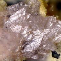 Fluckite