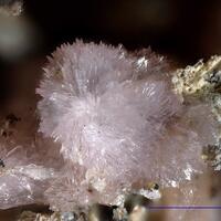 Fluckite