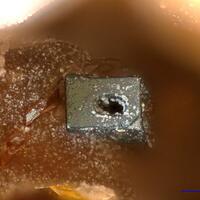 Priderite