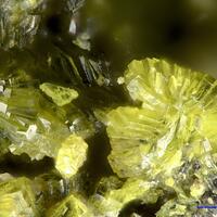 Hydrotungstite & Ferberite