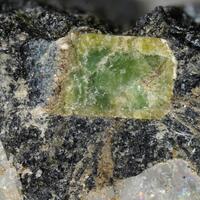 Arapovite Turkestanite & Uranosilite