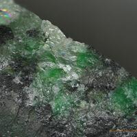 Schultenite