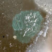 Cuprodongchuanite & Veszelyite