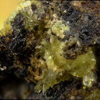 Uroxite