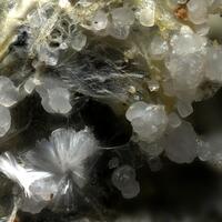 Chongite & Picropharmacolite